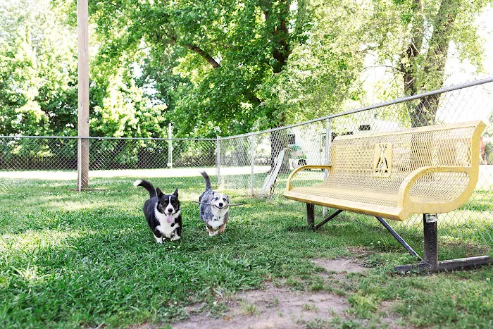 Springfield / Route 66 KOA Holiday Picture 10