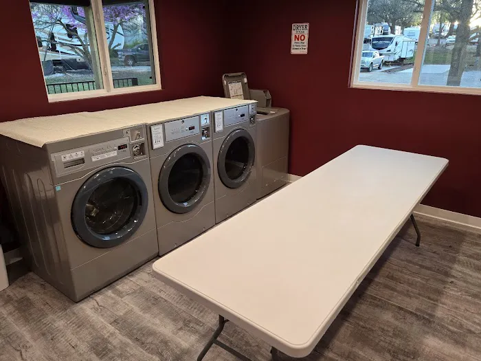 Caravan RV Picture 5