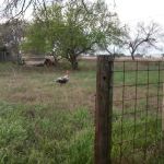 Everfree Shire Ranch