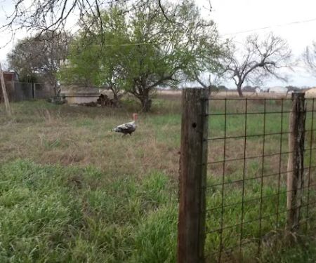 Everfree Shire Ranch