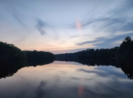 Panther Lake