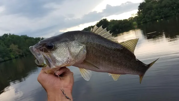 Panther Lake Picture 7