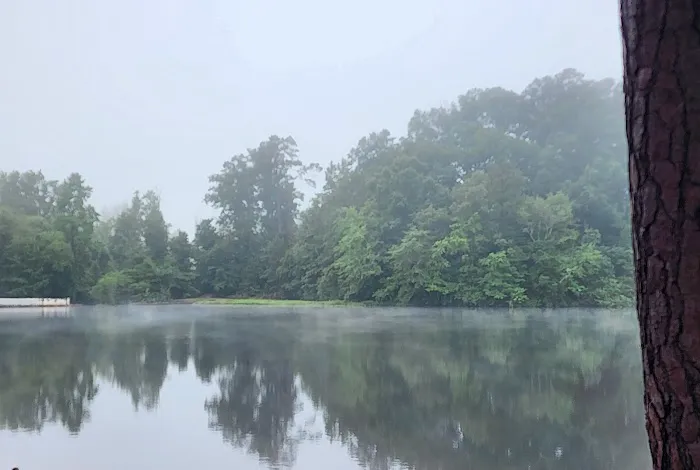 Panther Lake Picture 3