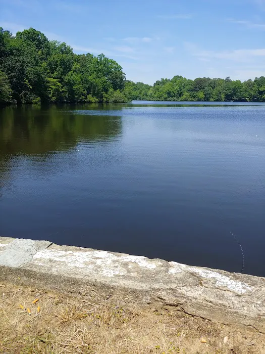 Panther Lake Picture 2