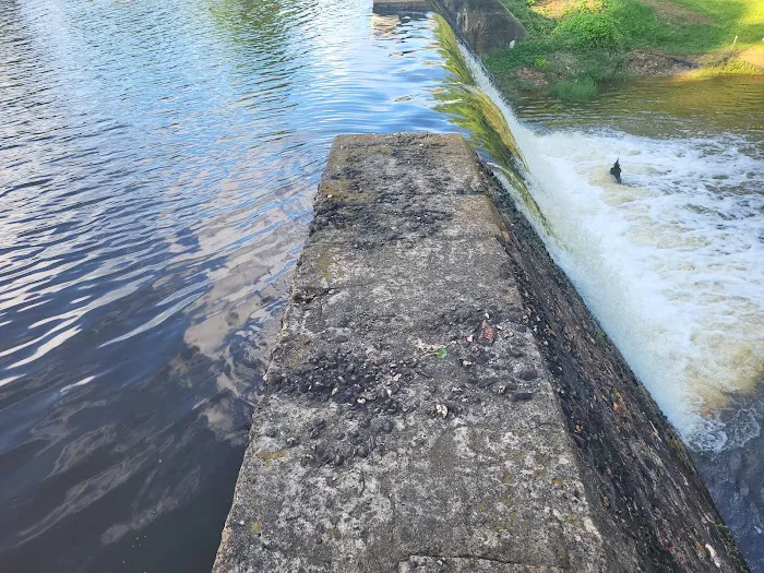 Panther Lake Picture 8