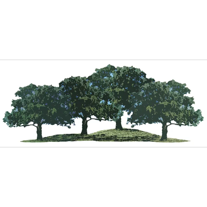 Four Oaks RV Resort Picture 10