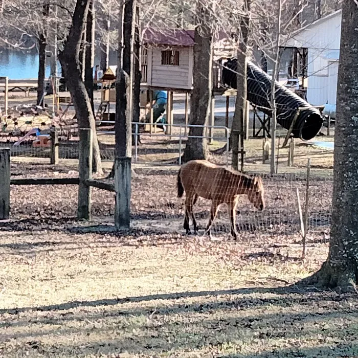 Taste Of Heaven Campground Picture 5