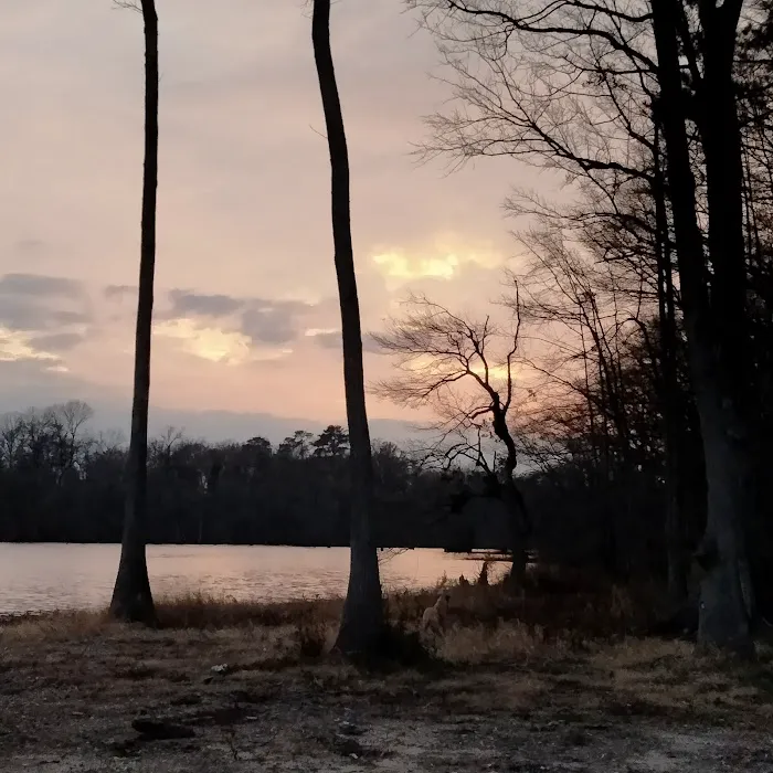 Taste Of Heaven Campground Picture 2