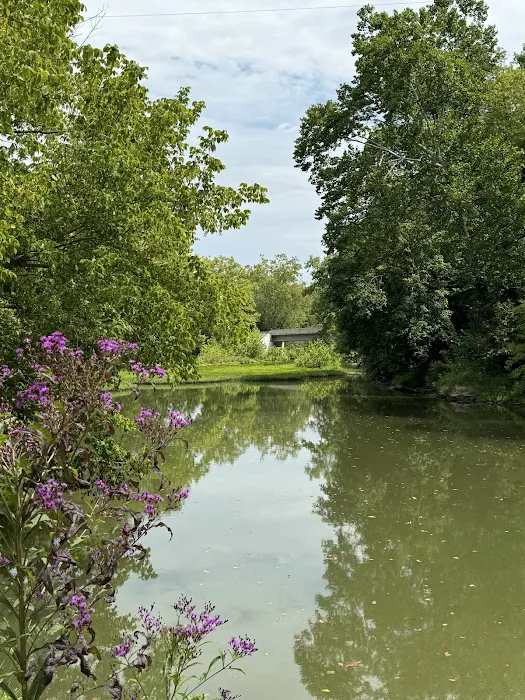 Pigeon Hole Camping and Fishing Picture 2
