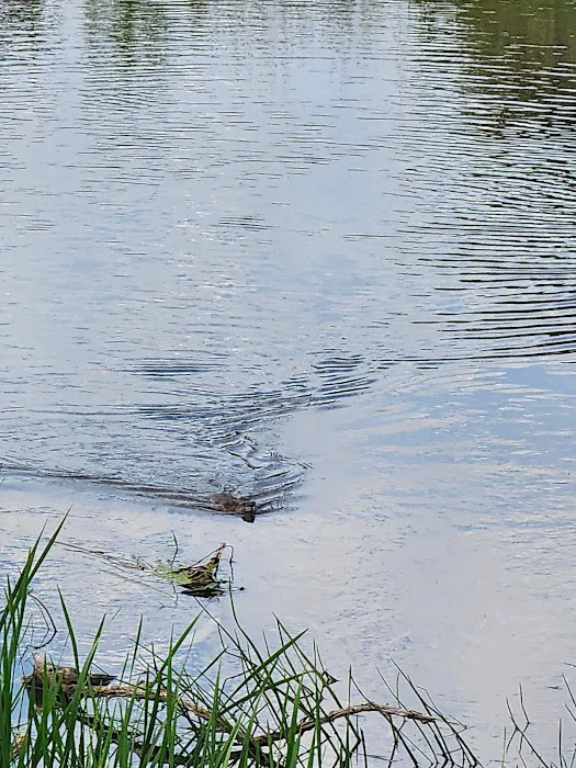 Wood River campground Picture 8