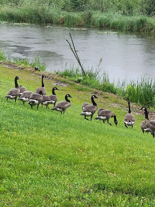 Wood River campground Picture 7