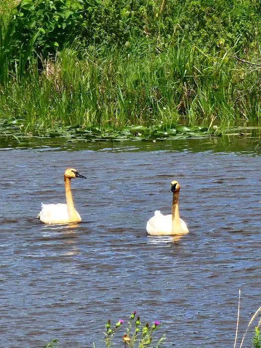 Wood River campground Picture 5