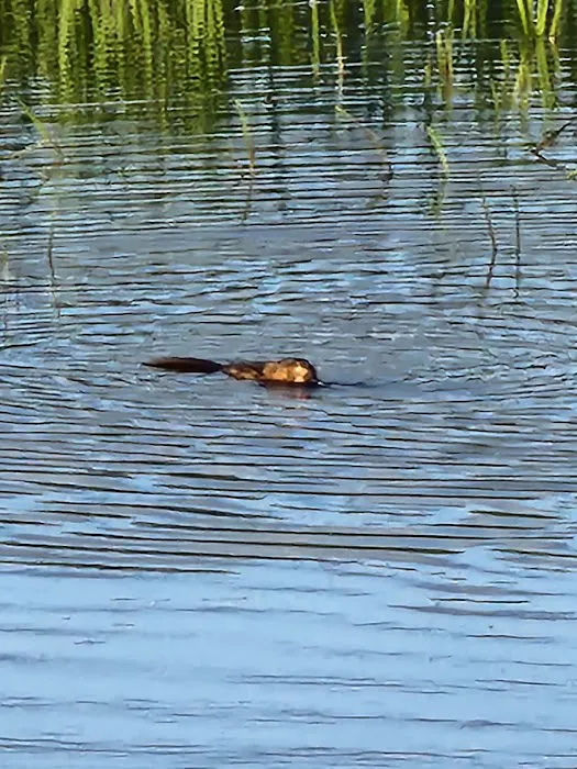 Wood River campground Picture 9