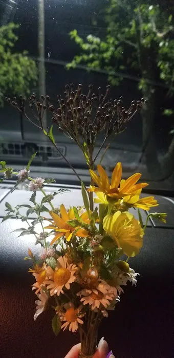 Clearfork Marina & Campground Picture 7