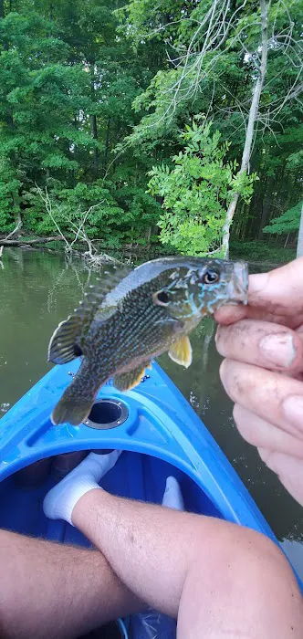 Clearfork Marina & Campground Picture 3