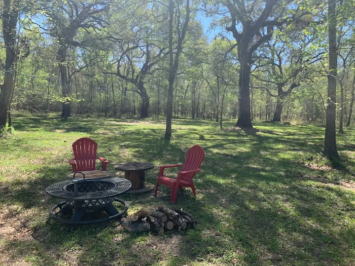 Serene RV Park & Campground Picture 6