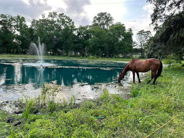 Gray Oaks Ranch Picture 3
