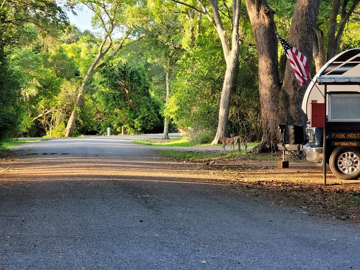 Texana Park and Campground Picture 5
