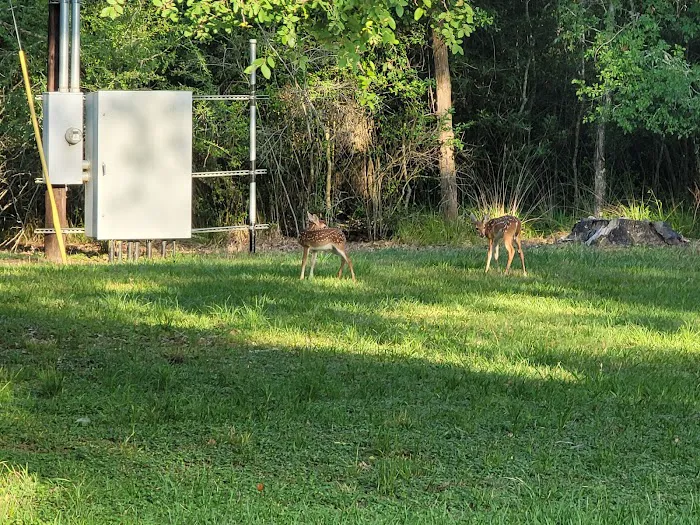Texana Park and Campground Picture 1