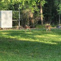 Texana Park and Campground ico