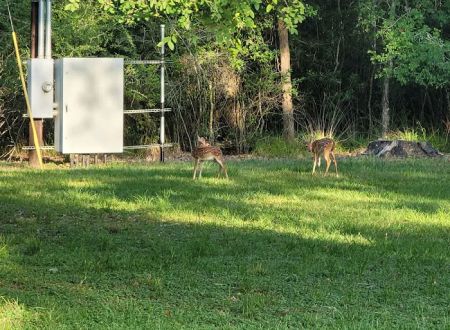 Texana Park and Campground