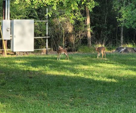 Texana Park and Campground