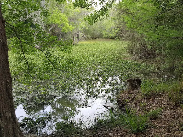 Texana Park and Campground Picture 8