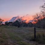Broken Oak River Park