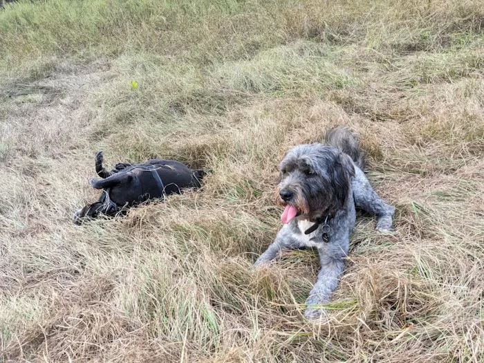 Broken Oak River Park Picture 6