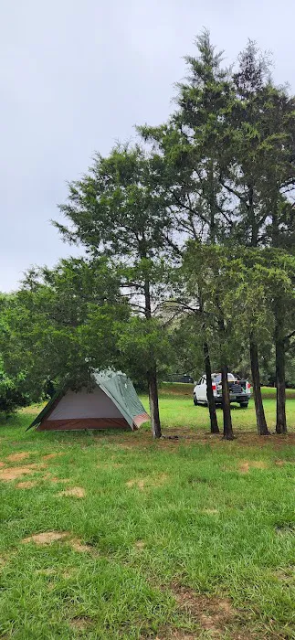 Camp Williams Picture 2