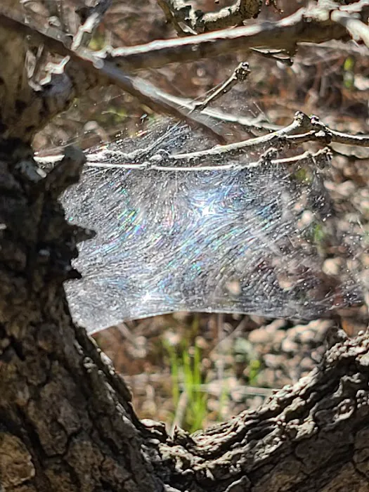 Hub City RV Picture 1