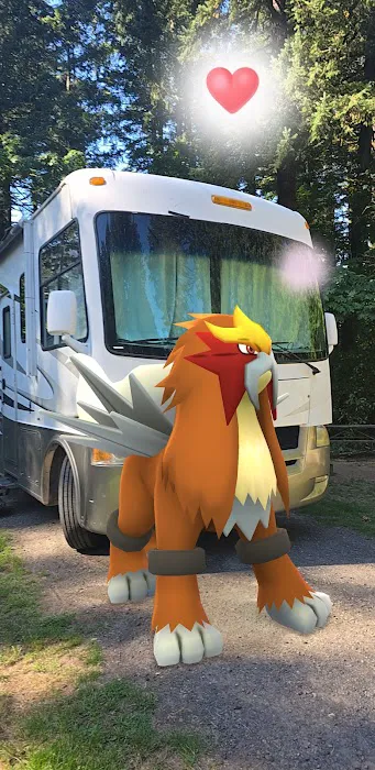 Woodard Creek Campground Picture 1