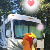 Woodard Creek Campground ico