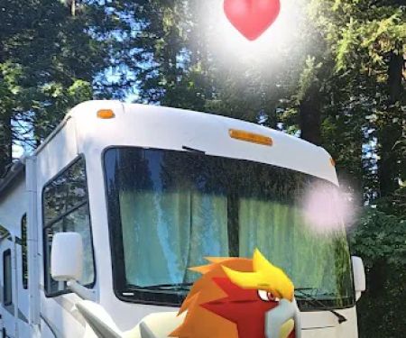 Woodard Creek Campground