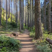 Wy'East Campsite ico