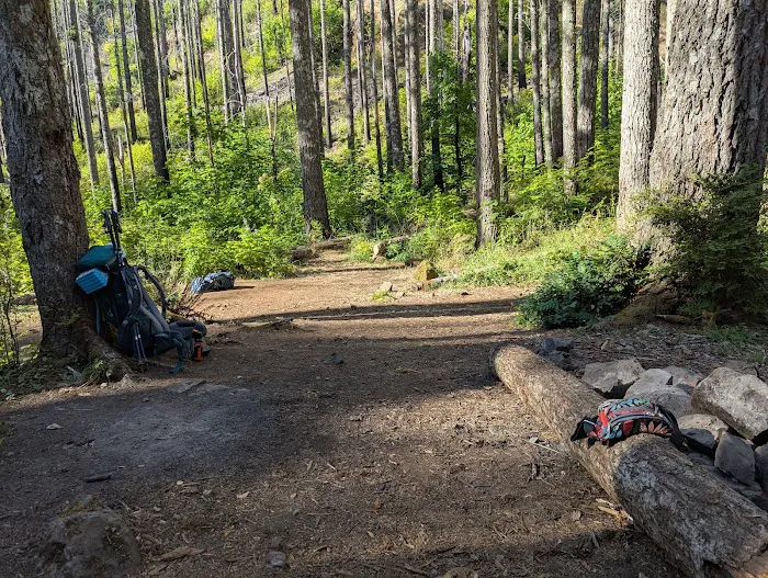 Wy'East Campsite Picture 2