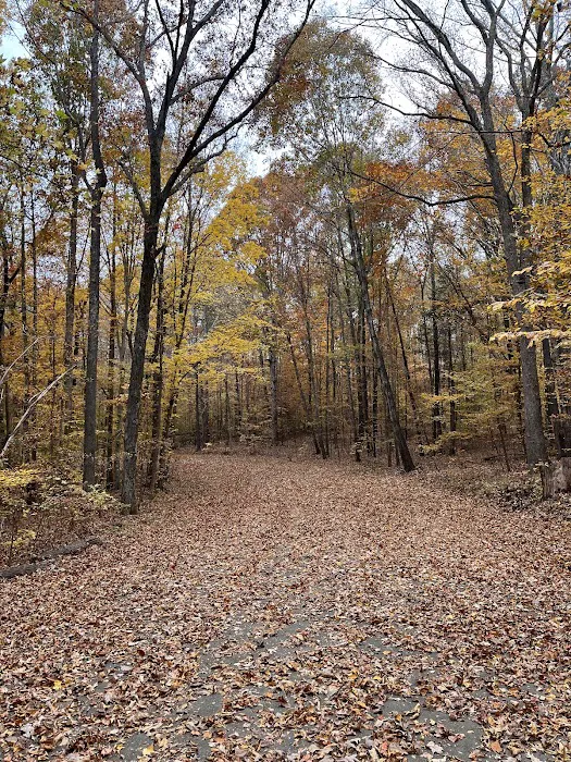 Kerr Lake Area 3 Picture 4