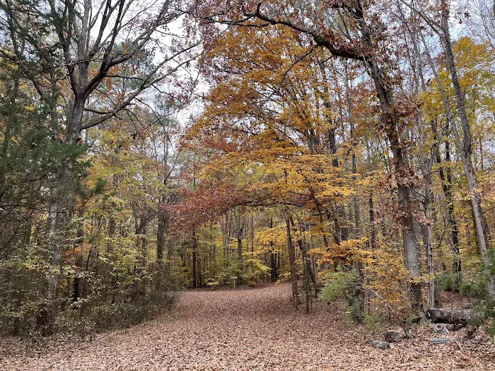 Kerr Lake Area 3 Picture 6