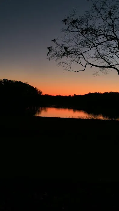 Kerr Lake Area 3 Picture 8