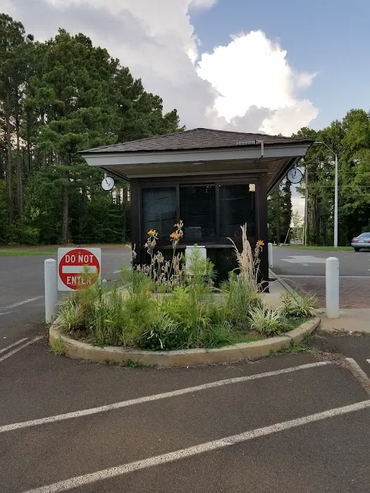 Nutbush Bridge Campground Picture 7