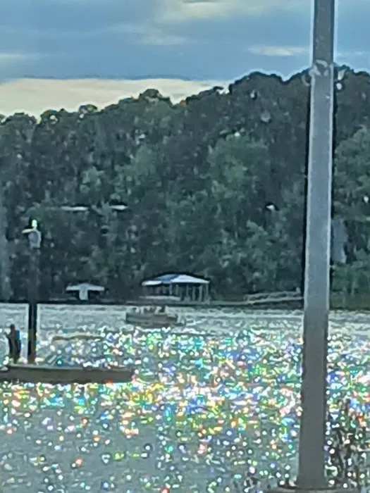 Nutbush Bridge Campground Picture 3