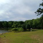 Nutbush Bridge Campground