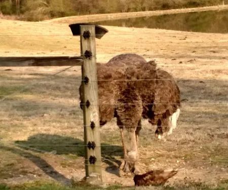 Rock Ridge Campground