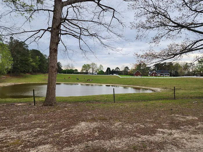 Rock Ridge Campground Picture 7