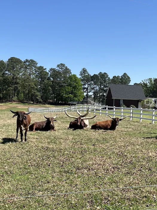 Rock Ridge Campground Picture 2