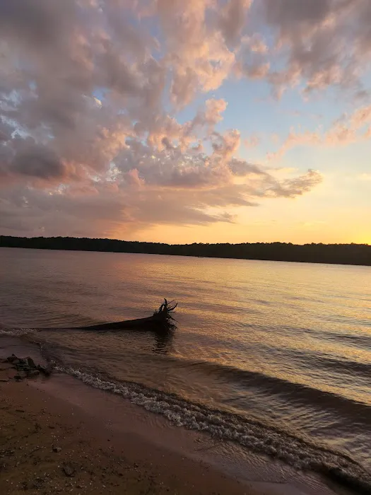 J C Cooper Campground Picture 5