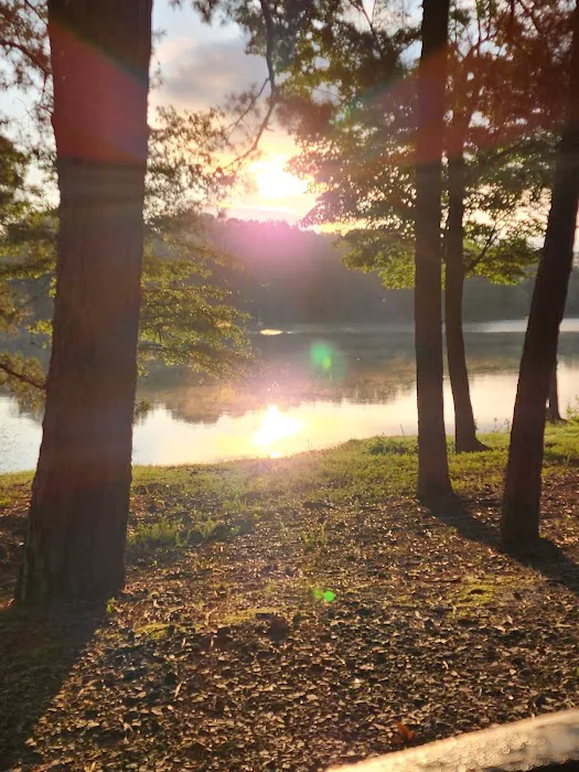 Kerr Lake State Park, Hibernia Group Area Picture 9