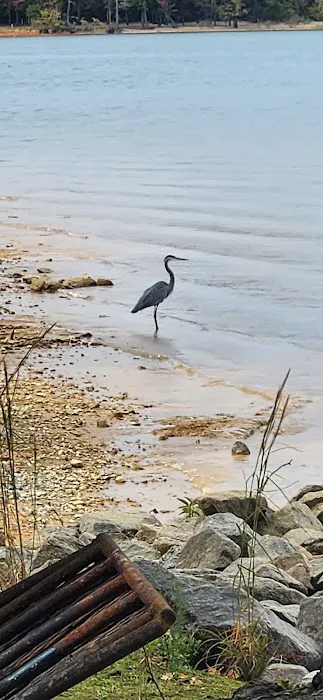 Hibernia Campground - Area 2 Picture 2