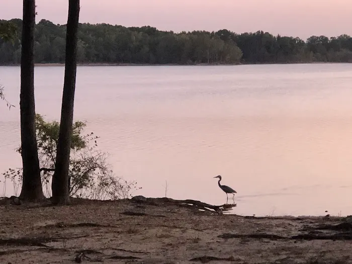 Hibernia Campground - Area 2 Picture 4