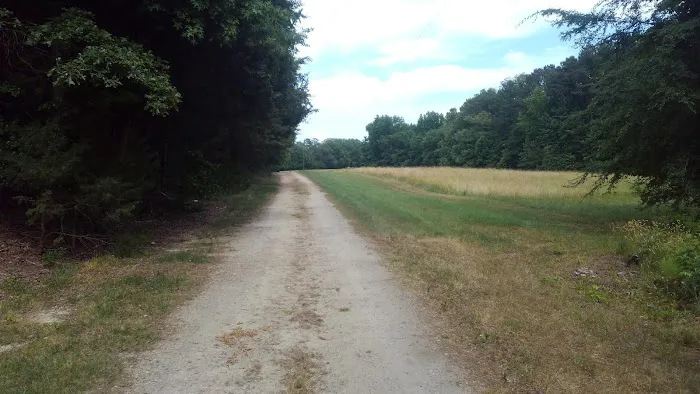 UNC Faculty Campground at Kerr Lake Picture 8